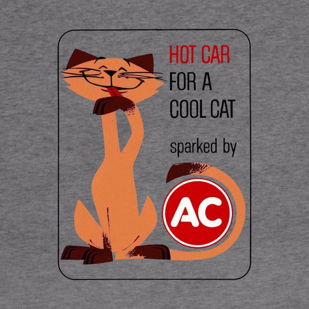 Hot Car for a Cool Cat by DCMiller01